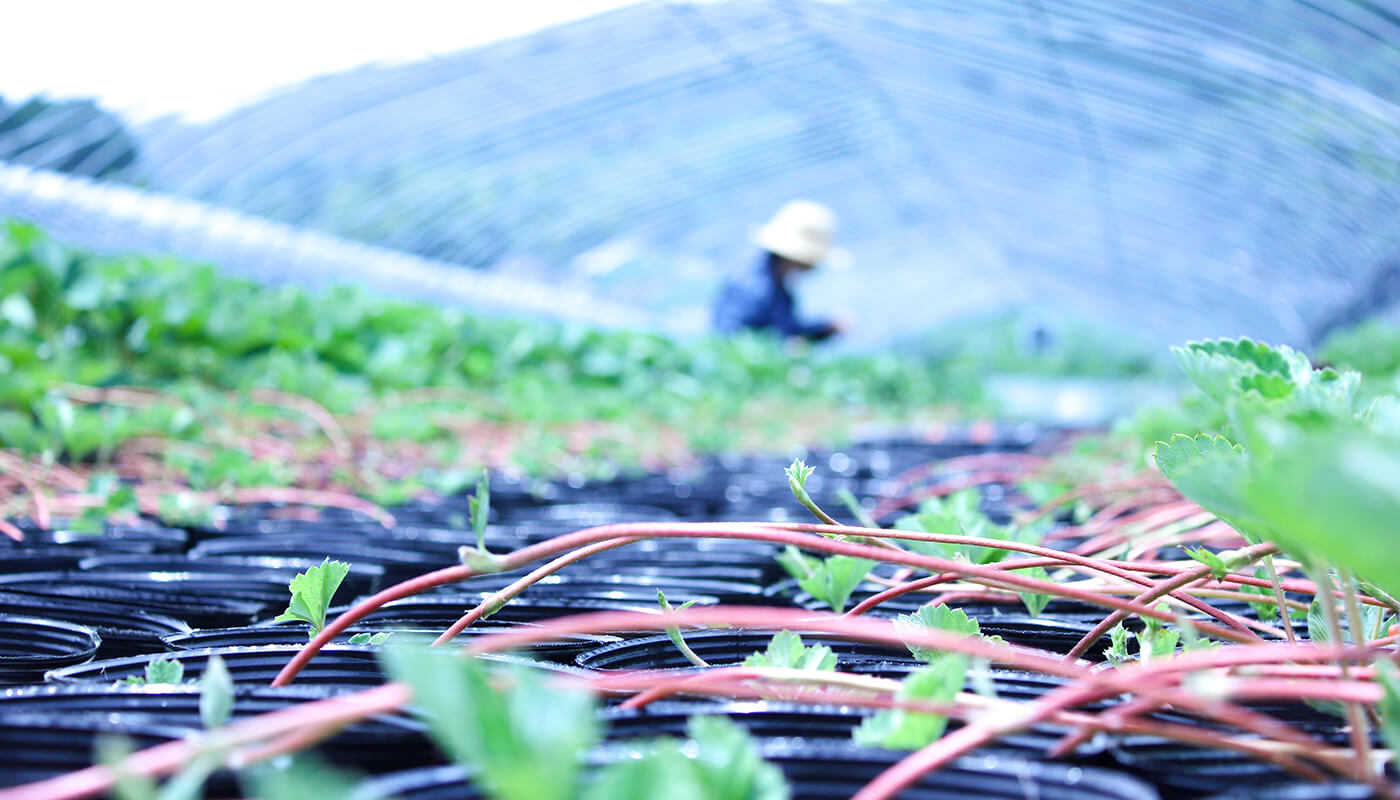 クラフトマンシップへのこだわり