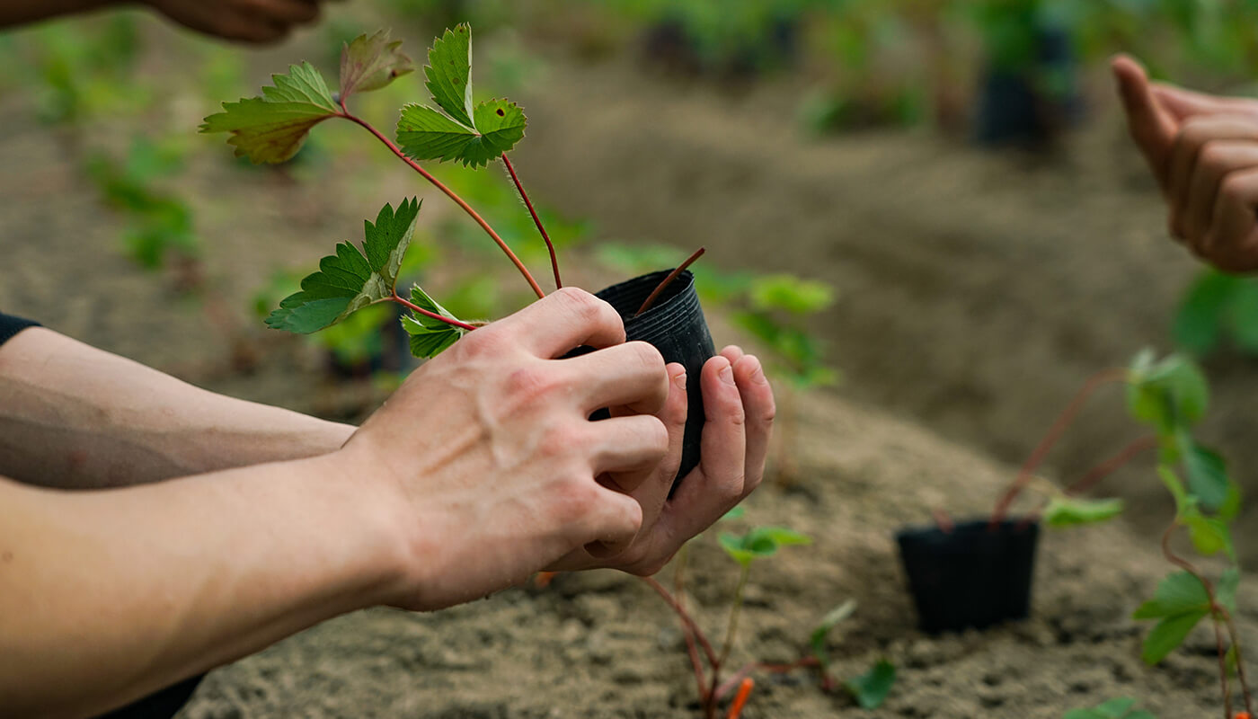 クラフトマンシップへのこだわり