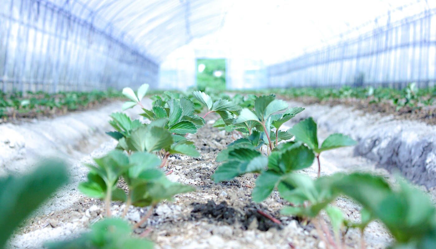 クラフトマンシップへのこだわり