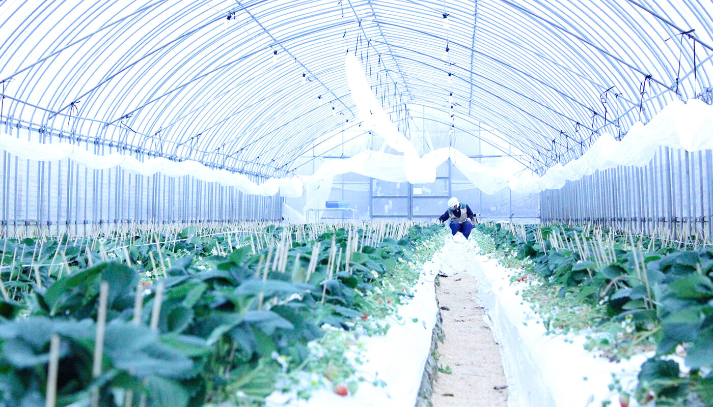 クラフトマンシップへのこだわり